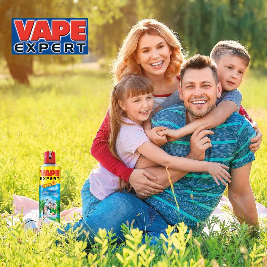 Bricocenter VAPE EXPERT INSECTICIDE SPRAY 600 ML OPEN AIR