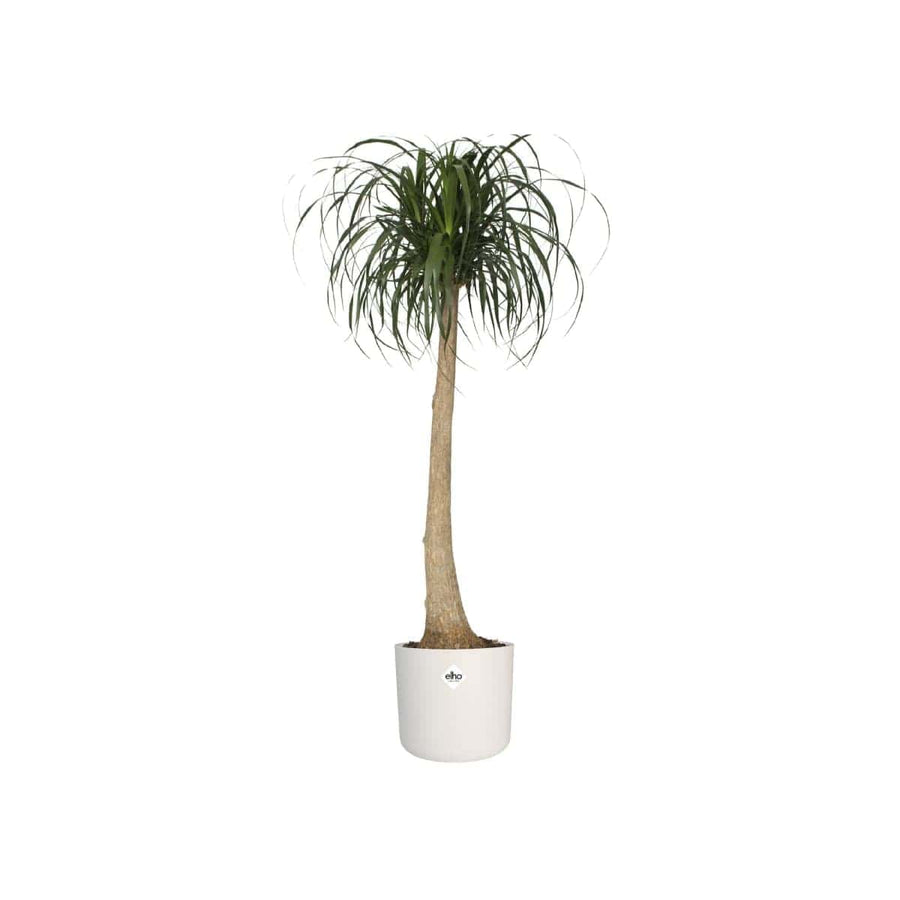 Bricocenter B.for Soft Round ELHO pot cover DIAM 22 H20,4 CM WHITE