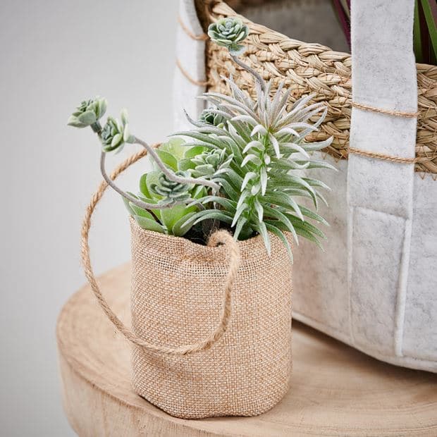 ROPE Artificial plant in natural hanging potØ 14 cm - best price from Maltashopper.com CS649257