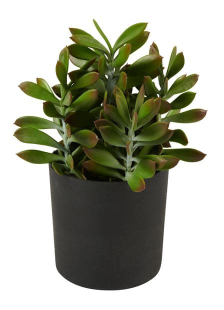 MOHAVE Faux potted succulents 6 model variants - best price from Maltashopper.com CS612129