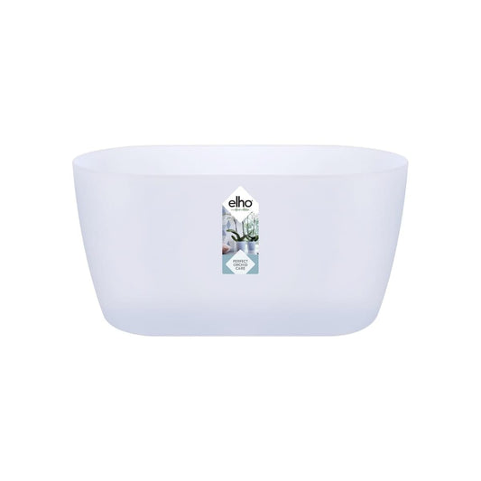 BRUSSELS ORCHID DUO COVER 25CM TRANSPARENT - best price from Maltashopper.com BR510009172