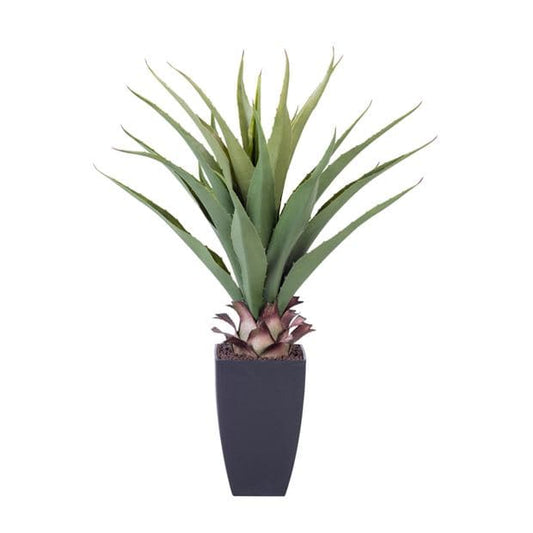 Casa VERA Aloe vera green H 75 cm - Ø 15 cm