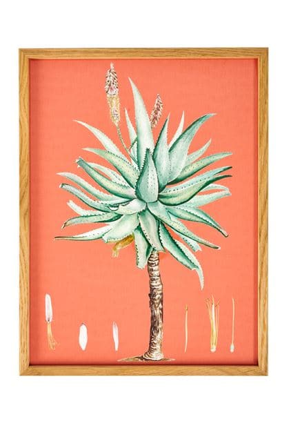 ALOE Wall deco orange, green H 40 x W 30 cm - best price from Maltashopper.com CS668605