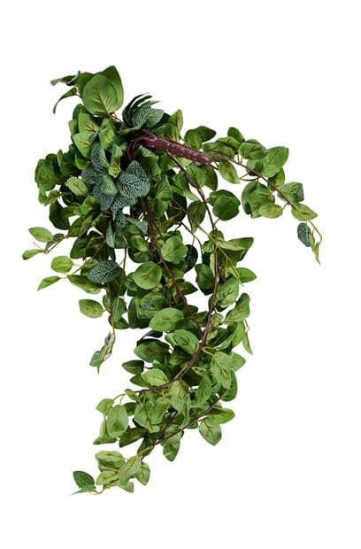 Casa FITTONIA Green leaf garland, L 54 cm