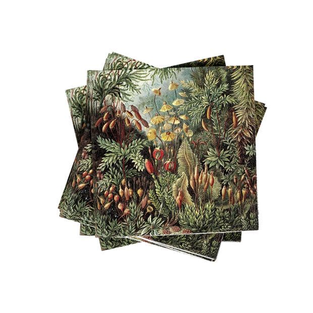 Casa MOSS Set of 20 multicolored napkins W 33 x L 33 cm