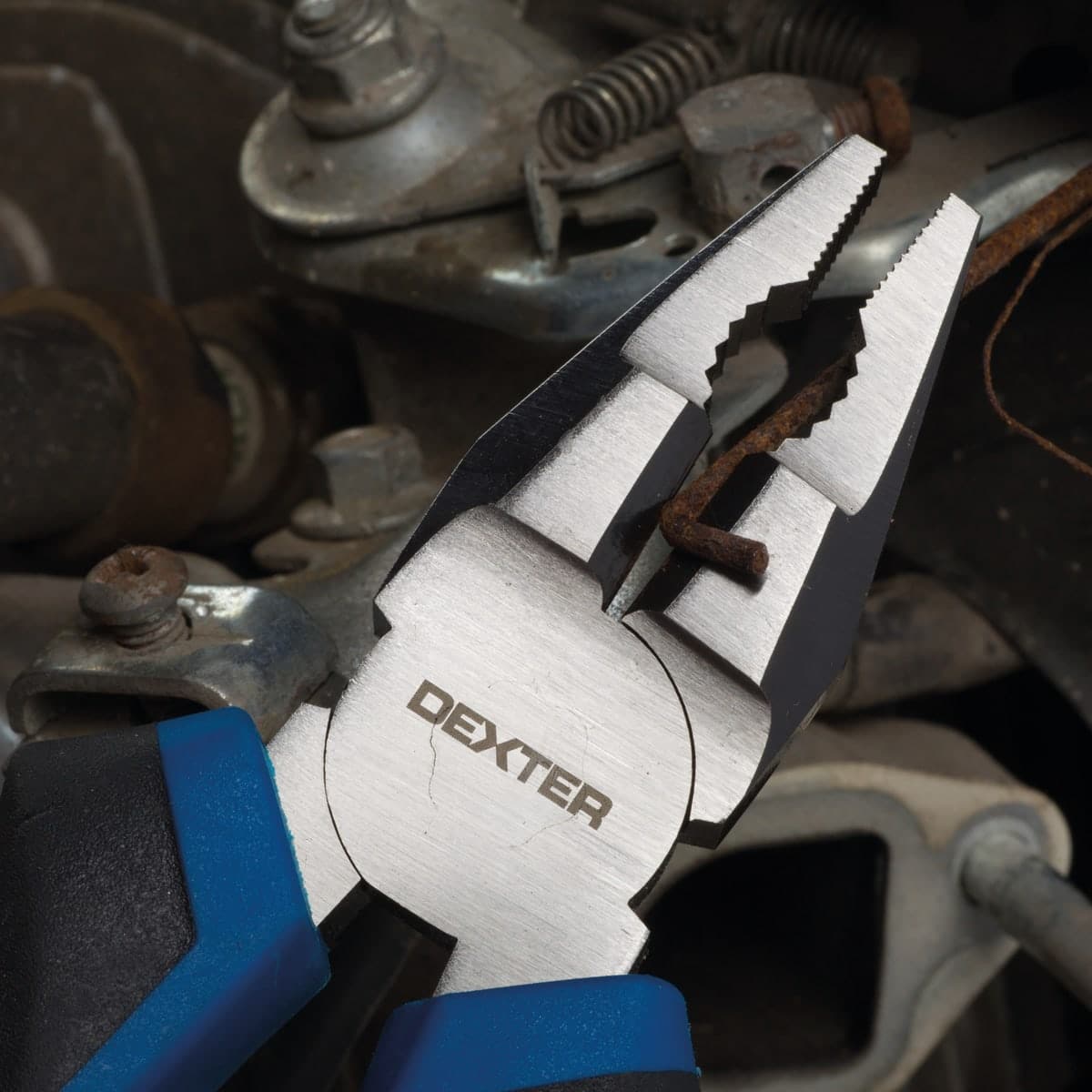 DEXTER UNIVERSAL PLIERS 180 MM CHROME VANADIUM - best price from Maltashopper.com BR400001874