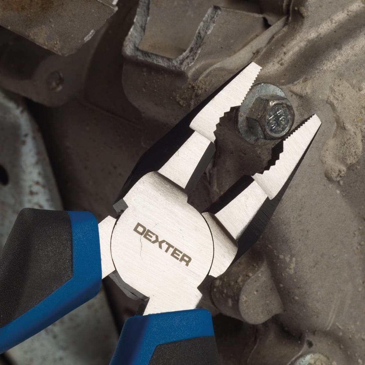 DEXTER UNIVERSAL PLIERS 180 MM CHROME VANADIUM - Premium Pliers, Tongs, and Cutters from Bricocenter - Just €9.99! Shop now at Maltashopper.com