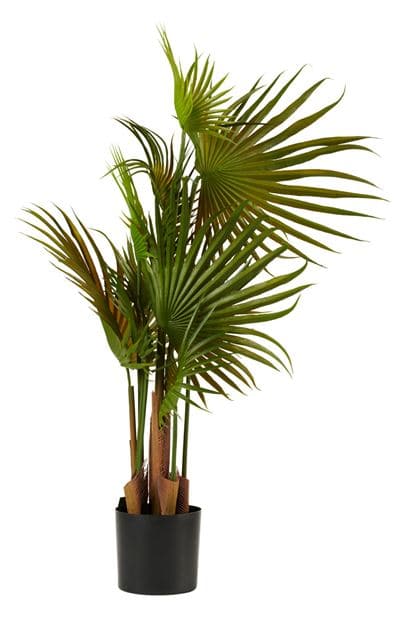ARECA Green palm H 79 cm - Ø 46 cm - best price from Maltashopper.com CS660975