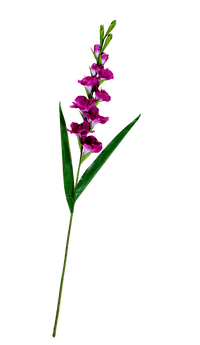 GLADIUS Gladiolus, 93cm light purple - best price from Maltashopper.com CS670397-LIGHT-PURPLE