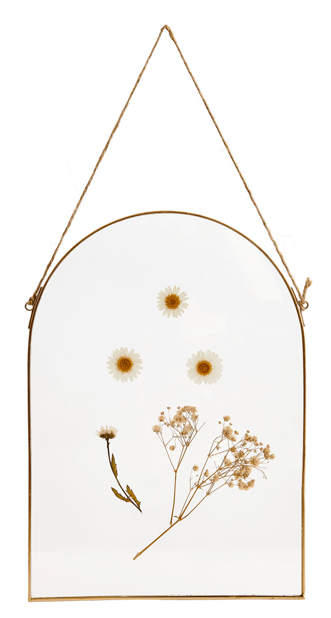 MAGRITTE Deco to hang golden, transparent H 31.5 x W 22.2 x D 0.6 cm - best price from Maltashopper.com CS675808