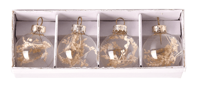 Casa DRY FLOWER Name holders set of 4 transparent H 4 x W 4 cm