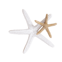 SEA Starfish white - best price from Maltashopper.com CS663551-WHITE