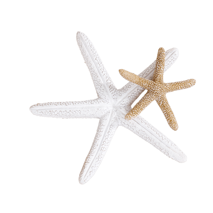 SEA Starfish sand - best price from Maltashopper.com CS663551-SAND