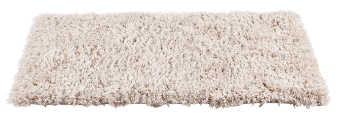 LARGE Antique White Carpet