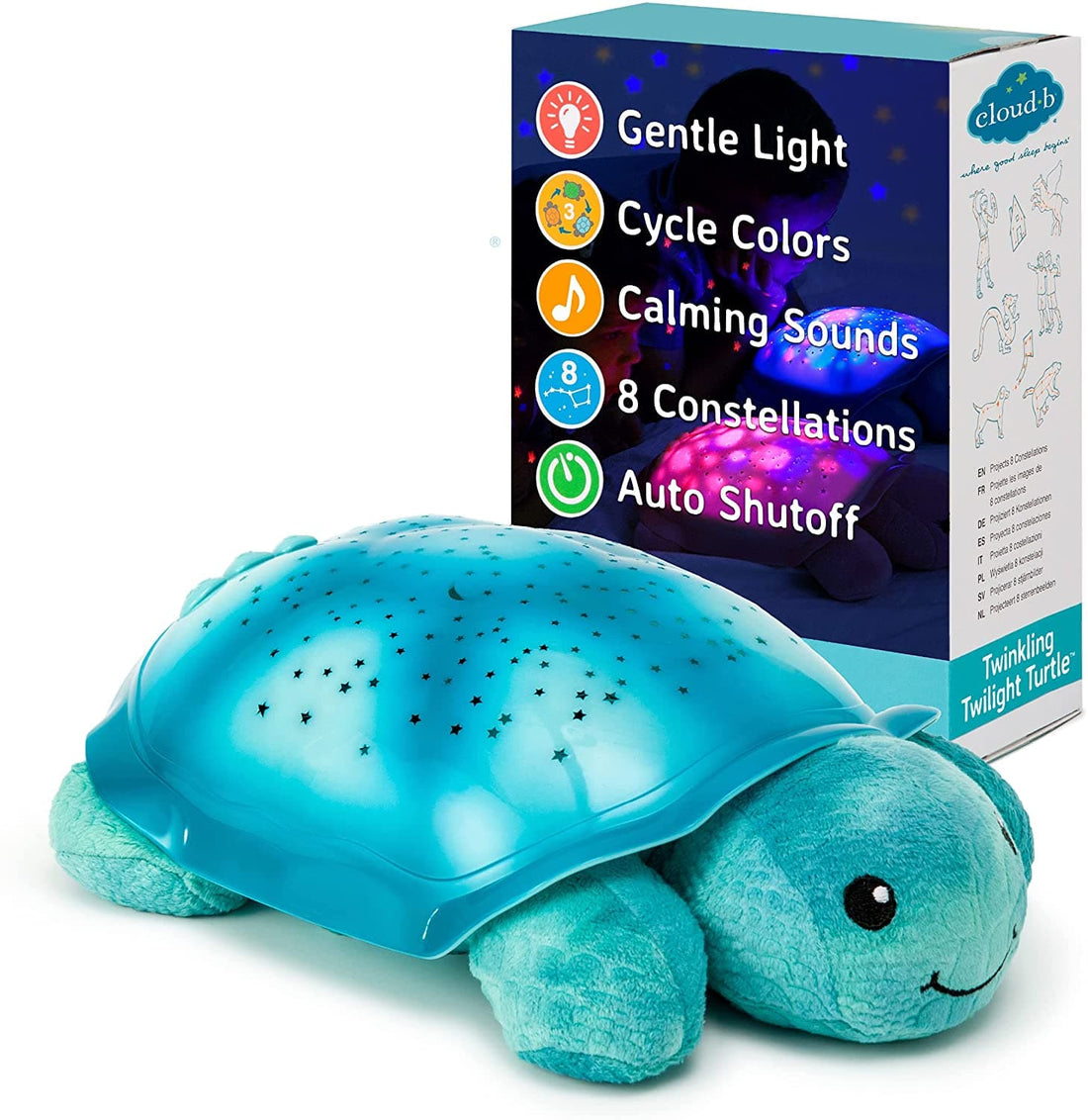 Twinkling Twilight Turtle - Acqua