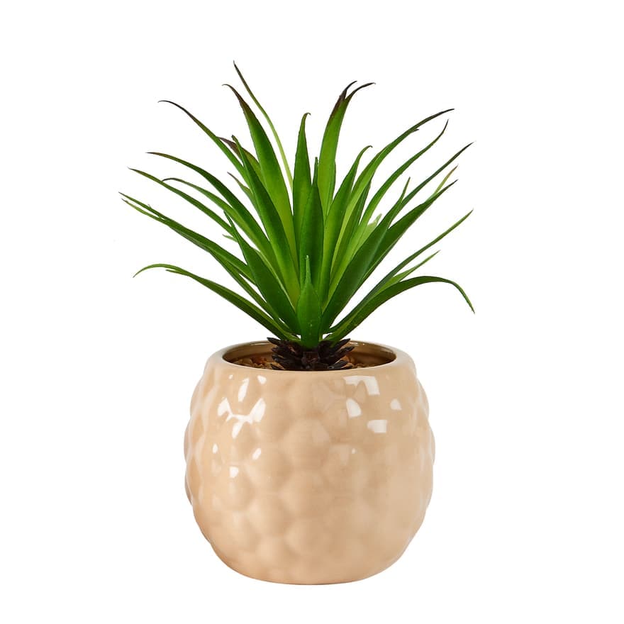 PINA Pineapple plant in pot 2 colours beige - best price from Maltashopper.com CS668822-BEIGE