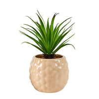 PINA Pineapple plant in pot 2 colours beige - best price from Maltashopper.com CS668822-BEIGE