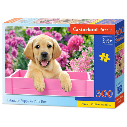Toys Puzzle 300 Pezzi - Labrador Puppy in Pink Box