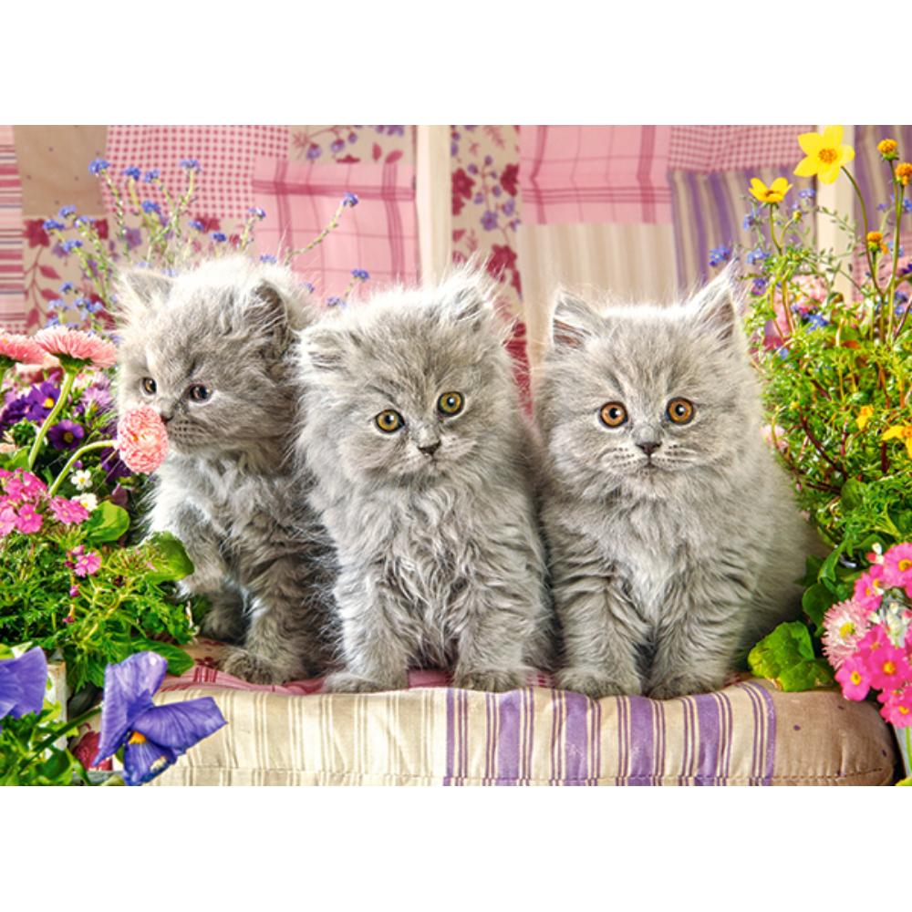 Puzzle 300 Pezzi - Three Grey Kittens