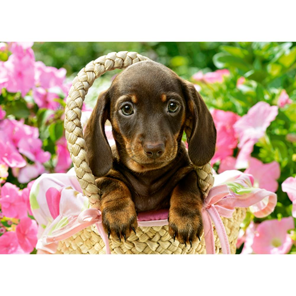 Toys Puzzle 260 Pezzi - Cute Dachshund