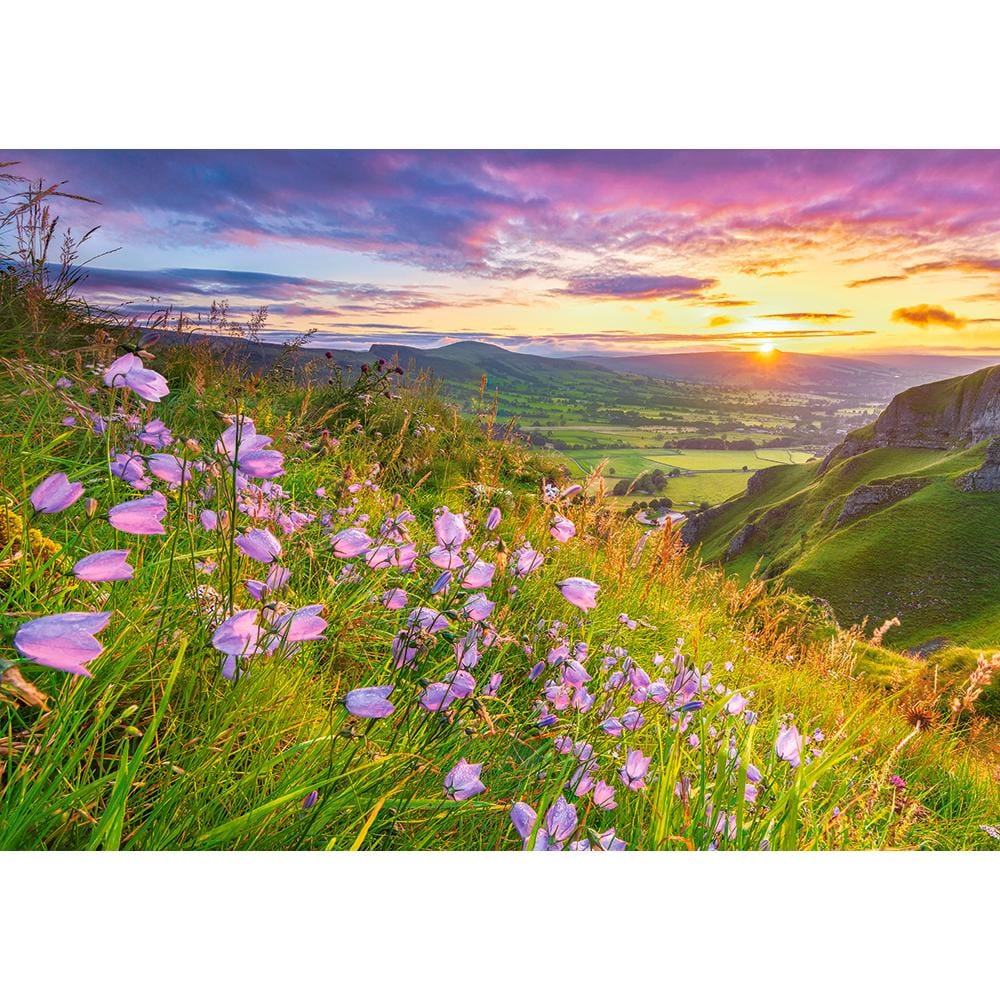 Toys Puzzle 500 Pezzi - Harebells at Sunrise