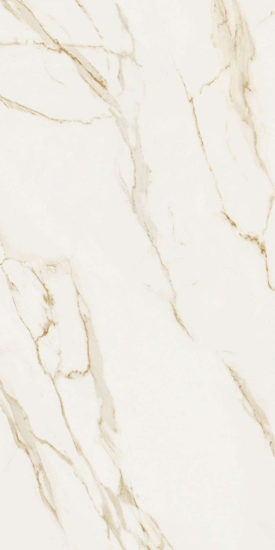 Bricocenter FLOOR 60X120 DIVINA CALACATTA GOLD 1.47 M2