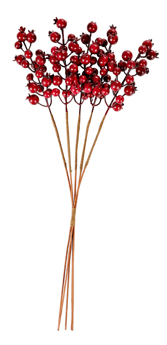 FOAM Red rosehips - best price from Maltashopper.com CS681604