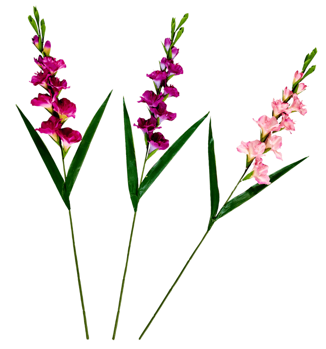 GLADIUS Gladiolus, 93cm, pink - best price from Maltashopper.com CS670397-PINK