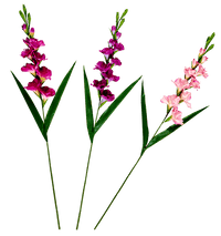 GLADIUS Gladiolus, 93cm, pink - best price from Maltashopper.com CS670397-PINK