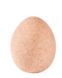 BENEDICT Red Decorative Egg - best price from Maltashopper.com CS679042