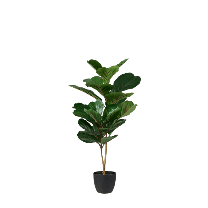 Casa FIJI black, dark green, H 80 cm - Ø 14 cm