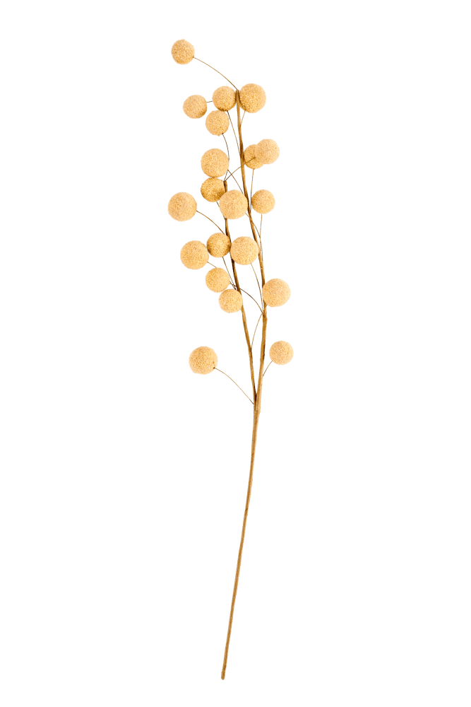 TRIFOLIUM Yellow floral branchL 73 cm - best price from Maltashopper.com CS677299