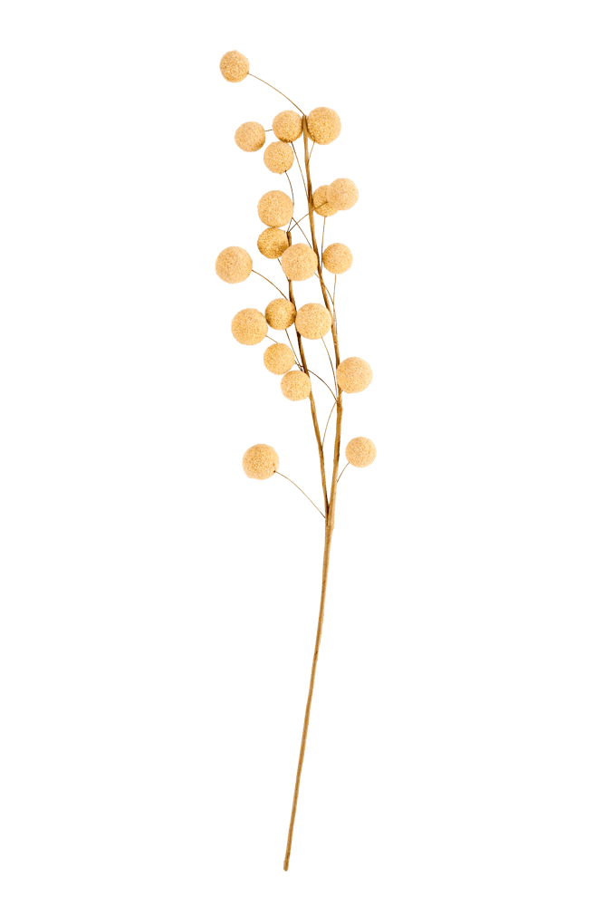 Casa TRIFOLIUM FLOWERBRANCH 73CM YE