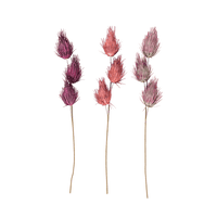 EVA Thistle flower, burgundy - best price from Maltashopper.com CS655592-MAROON