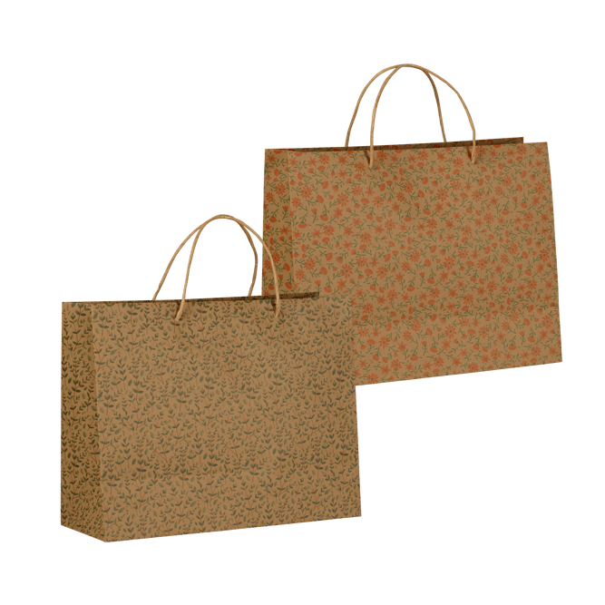 GREENS Gift bag 2 designs orange - best price from Maltashopper.com CS686448-ORANGE