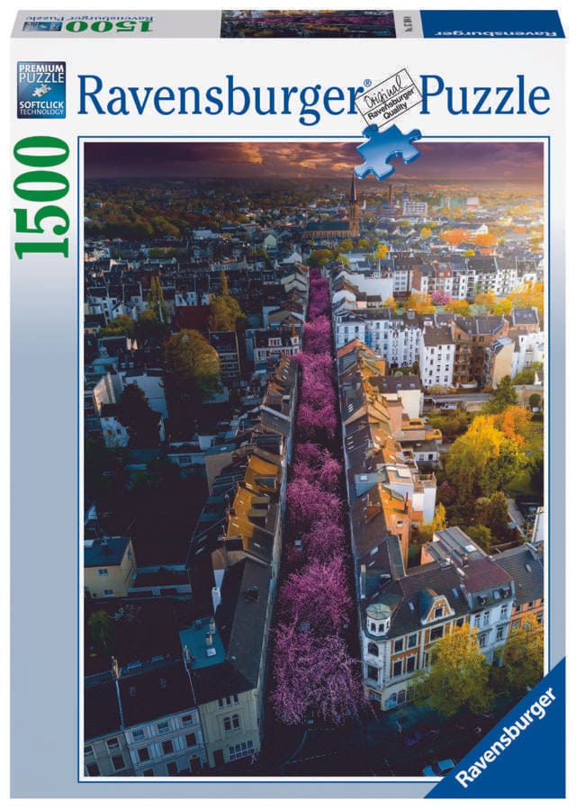 Toys 1500 Piece Puzzle - Bonn in Bloom