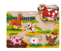 Eichhorn puzzle pin cm.30x20.7- 6 asst