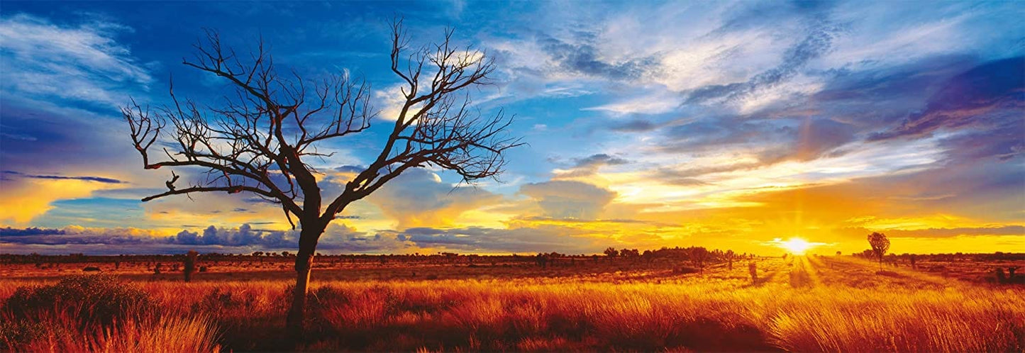 Toys 1000 Piece Panorama Puzzle - Mark Gray: Desert Oak at Sunset, Australia