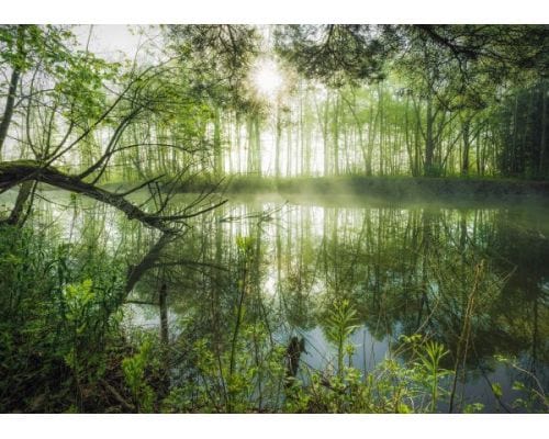 Toys 1000 Piece Puzzle - Stefan Hefele: A Jungle Behind the Corner