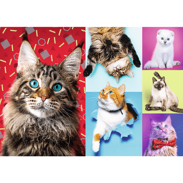 Toys 1000 piece puzzle - Happy cats