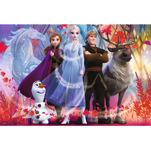260 Piece Jigsaw Puzzle Frozen 2: In Search Of Adventures