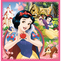 Puzzle 3 In 1 Disney Princesses: The Enchanted World Of Princesses - best price from Maltashopper.com TRF34833