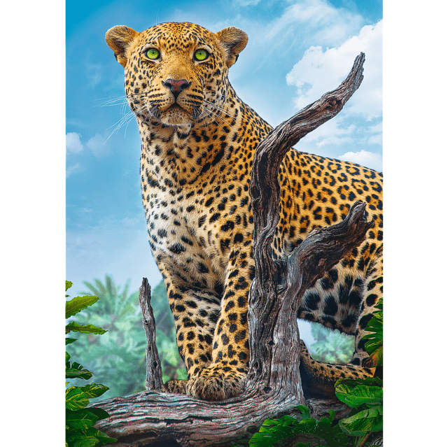 Toys 500 Piece Puzzle - Wild leopard