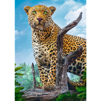 500 Piece Puzzle - Wild leopard