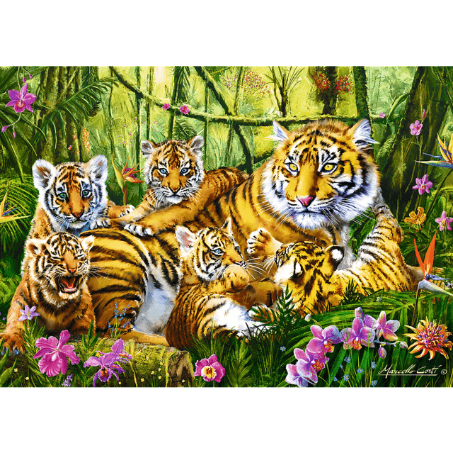 500 Piece Puzzle - Family of tigers