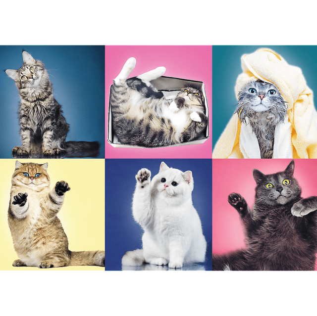 Toys 500 Piece Puzzle - Kittens