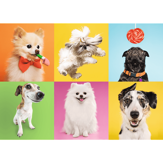 Toys 500 Piece Puzzle - Dogs