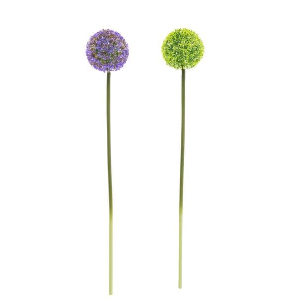 ALLIUM DECO ONION 55CM 2COL - best price from Maltashopper.com CS607628