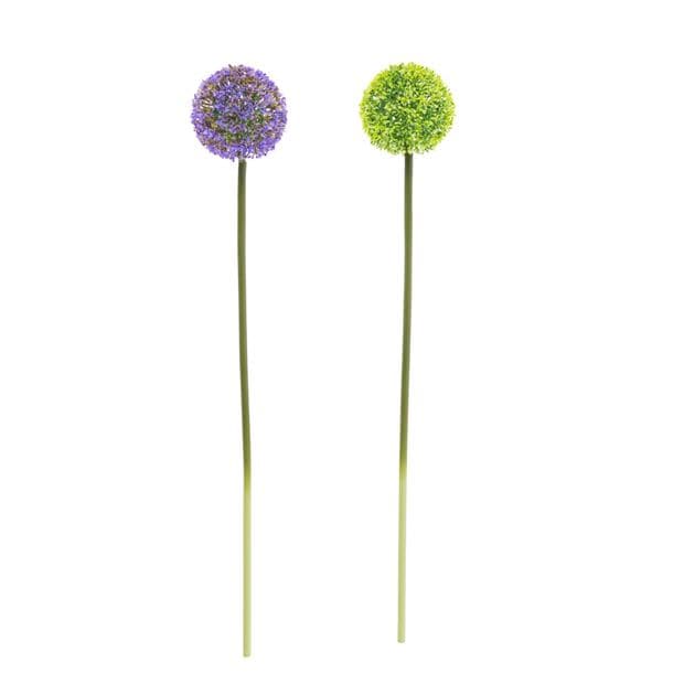 ALLIUM DECO ONION 55CM 2COL