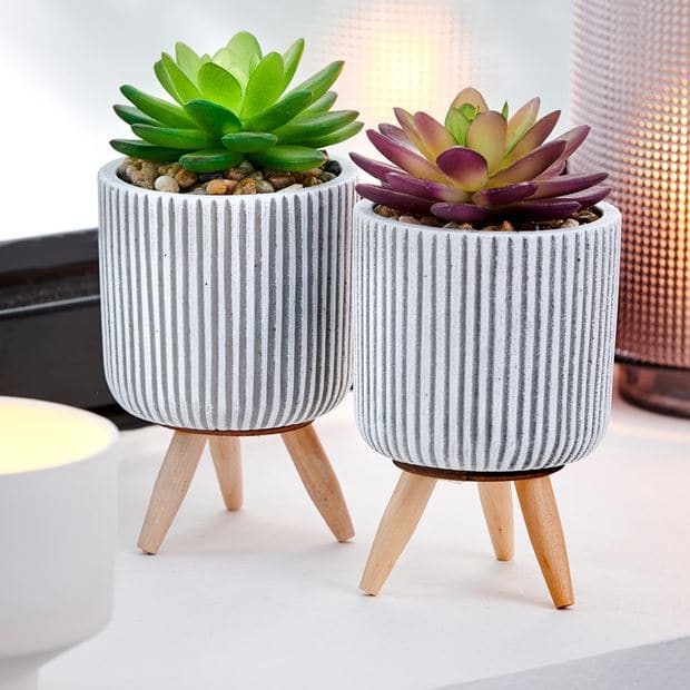 STRIPE Fake succulent in multicolored pot H 14 cm - Ø 7,5 cm - best price from Maltashopper.com CS633675